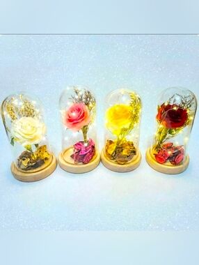 Silk Rose real preserved rose petals with Led Light String
